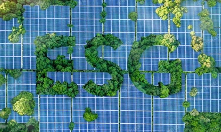 Debunking ESG Myths